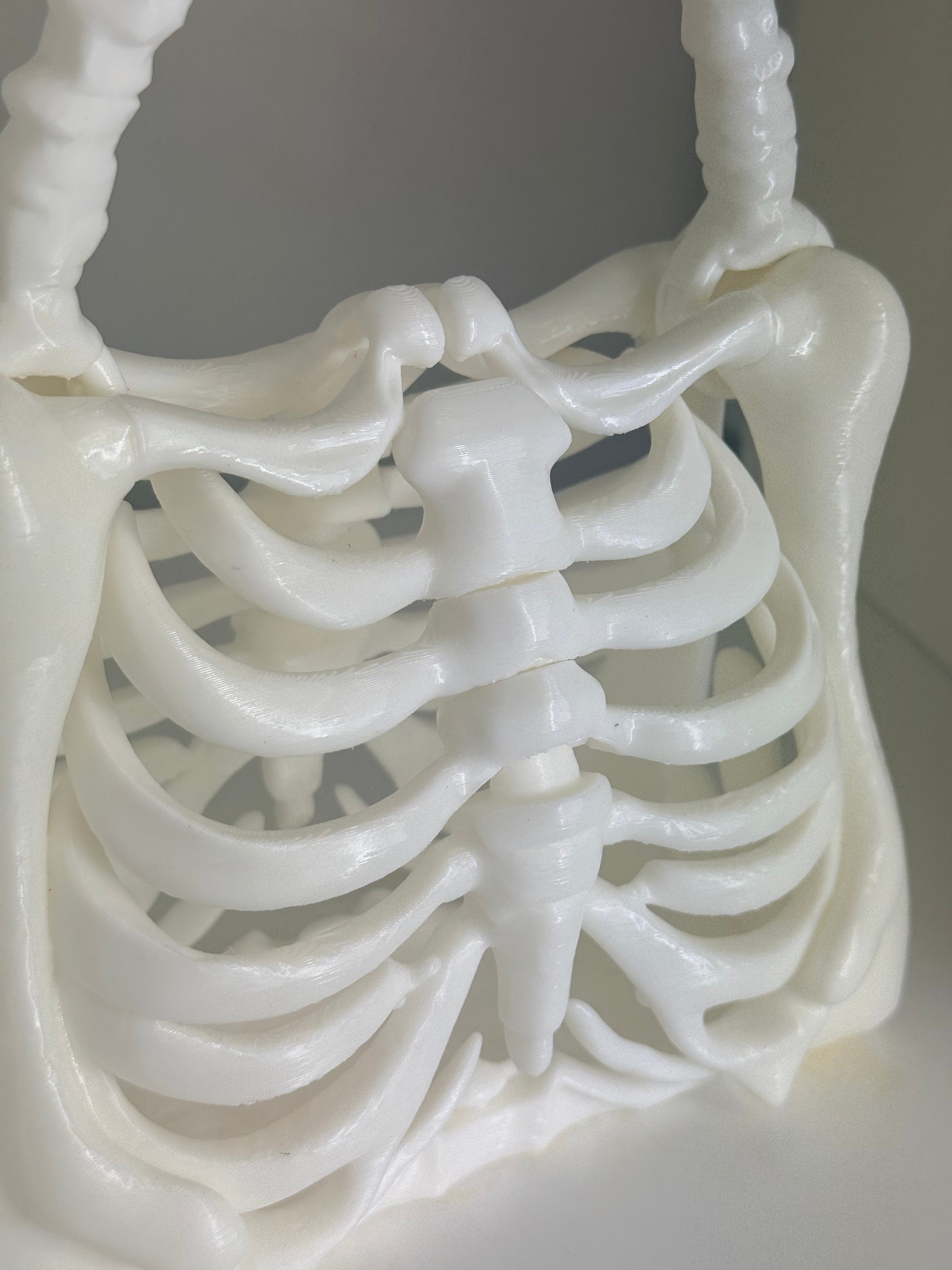 Articulated Rib Cage Handbag – Made to Order | Gothic Skeleton Purse